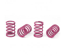 XRAY SPRING-SET D-1.8 (33 LB) PURPLE - MEDIUM HARD 