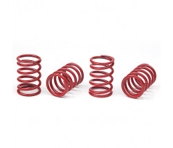 XRAY SPRING-SET D-1.9 (38 LB) RED - HARD (4)