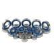 NT1 SET OF HIGH-SPEED BALL BEARINGS (24)